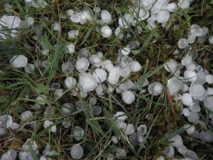 hail stones from a storm