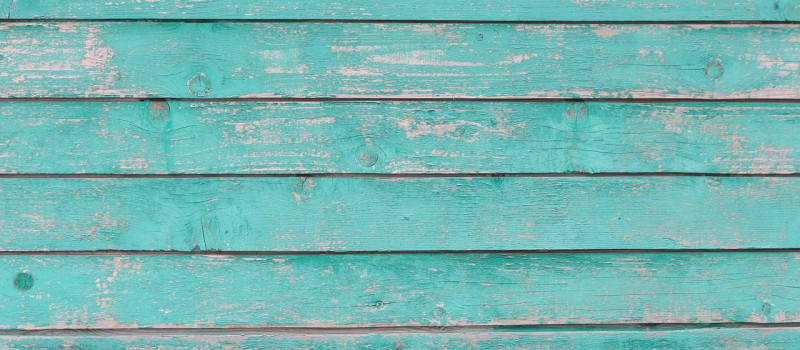Summer Siding Maintenance: Keep Your Siding Clean and Healthy!