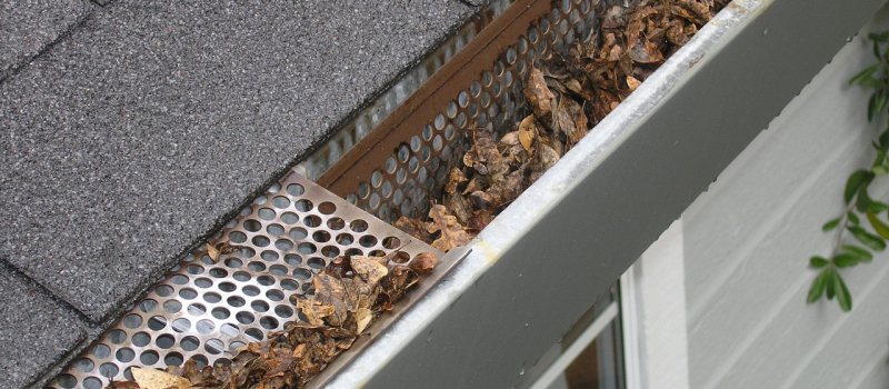 How to Prepare Your Home’s Gutters for the Fall Season